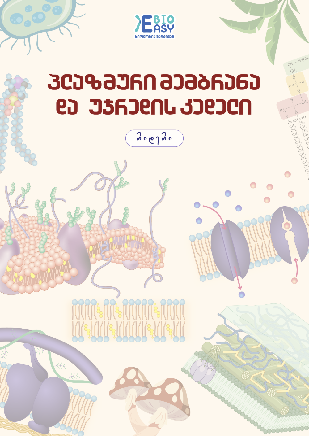 პლაზმური მემბრანა და უჯრედის კედელი