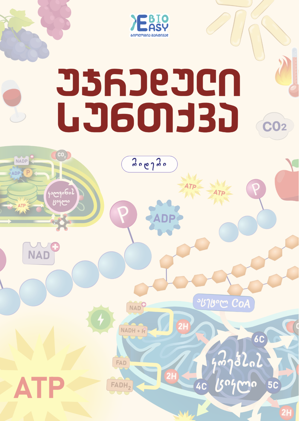 უჯრედული სუნთქვა