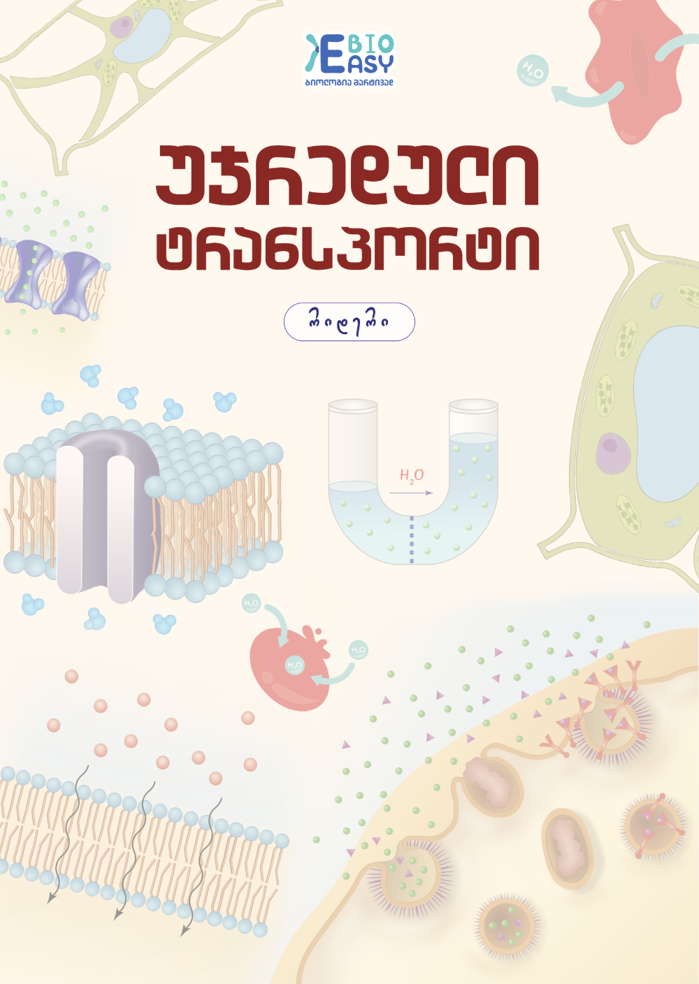 უჯრედული ტრანსპორტი